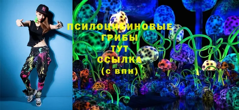 Галлюциногенные грибы Cubensis  Сосновка 